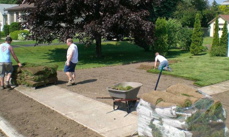 Sod Installation